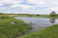 Експосадовицю звинувачують у сприянні &quot;дерибану&quot; 12 га земель гідрологічного заказника