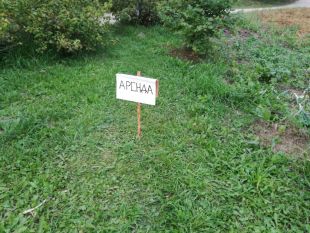 Збільшити розмір орендної плати вдалось лише через суд