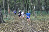 На околиці Хмельницького відбувся чемпіонат області з легкоатлетичного кросу