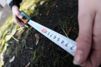 На Шепетівщині незаконно орендували майже 100 га землі