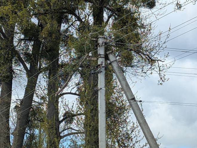 Шквальний вітер знеструмив населені пункти Шепетівщини: енергетики працюють у посиленому режимі