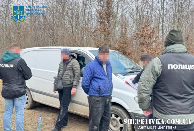 Лісники понесуть відповідальність за незаконну порубку та продаж дубів