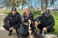 У Хмельницькому шукали чотирилапого друга пораненого захисника