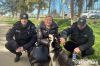 У Хмельницькому шукали чотирилапого друга пораненого захисника