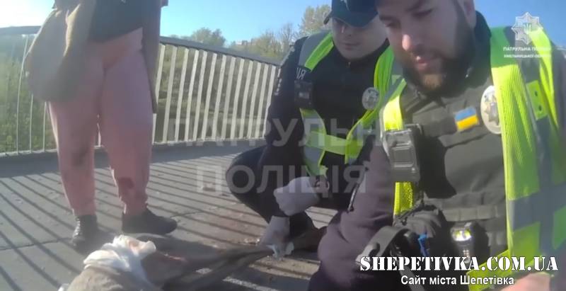 У Хмельницькому косуля потрапила під колеса автомобіля: як її рятували (відео)