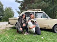 Зачепився за лінію електропередач та впав: на Шепетівщині врятували лебедя