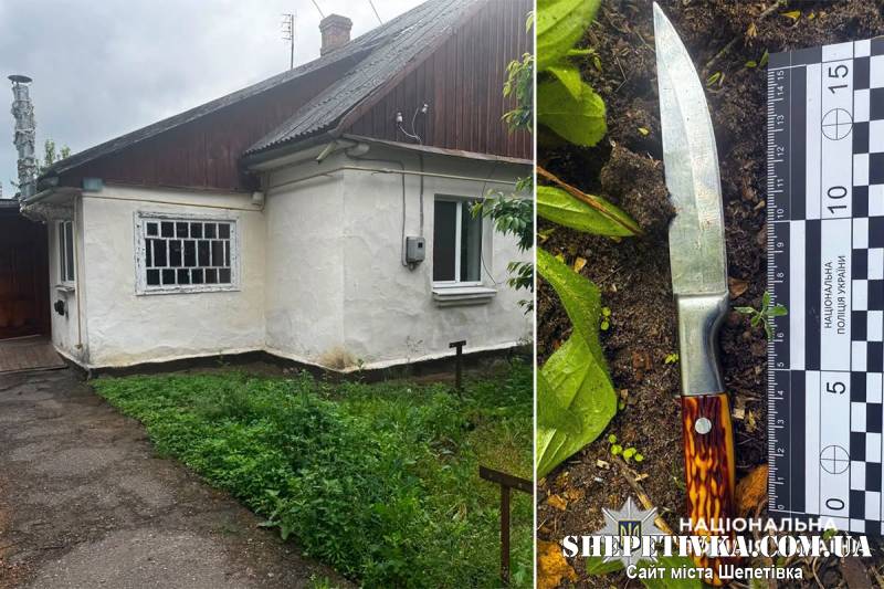Ударив кухонним ножем у груди: на Шепетівщині батька судили за поранення сина