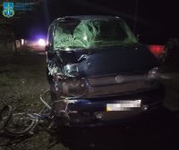 Винуватець ДТП, в якій загинуло двоє велосипедистів, проведе за ґратами 8 років