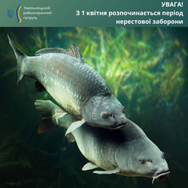 З 1 квітня на Хмельниччині розпочинається нерестова заборона на вилов риби