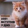 В Україні набув чинності новий зоозахисний закон. Що він передбачає?