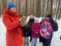 Славутські школярі мали змогу побачити зблизька Strix aluco