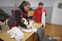 На Шепетівщині школярів вчили як надавати медичну допомогу чотирилапим друзям