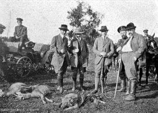 Щорічне полювання в Шепетівці, 1914 рік
