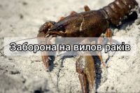 На Хмельниччині вступає в дію заборона на вилов раків