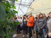 Навчання у "Сталевих Магноліях" почалось з відвідин діючих тепличних господарств