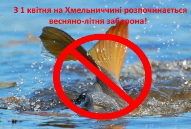 З першого квітня стартує нерестова заборона на лов водних біоресурсів
