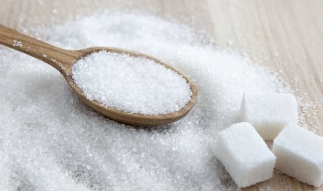 Шепетівський цукровий комбінат планує переробити 240 тис. т буряка