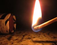 Суд виніс вирок чоловіку, який підпалив будинок щоб дістати з горища брата