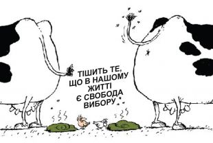 Опозиція “спустила в бачок” мажоритарку. Післямова