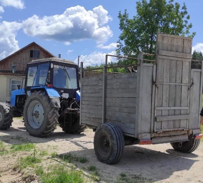 На Шепетівщині виявили вщент п&#039;яного тракториста, який перевозив телят