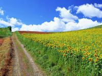 Юна шепетівчанка здобула друге місце на фото-конкурсі натуралістів