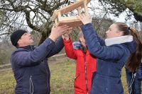 Вихованці учнівських лісництв подбали про зимівлю птахів