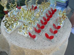 Шепетівчанка здобула відзнаку на Всеукраїнському фестивалі дитячої художньої творчості «Єдина родина»