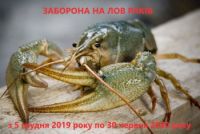 З 5 грудня у всіх водоймах Хмельниччини заборонено ловити раків