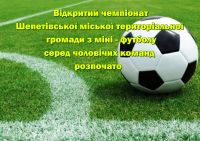 Стартував Відкритий чемпіонат Шепетівської ТГ з міні – футболу
