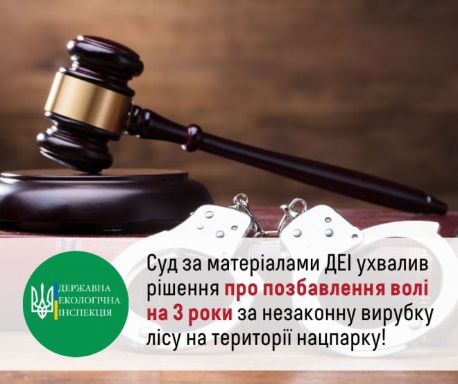 Посадовій особі, яка самовільно вирубила 2,5 тисячі дерев, обмежили волю на 3 роки