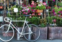 Вкрав велосипед щоб доїхати до села, бо витратив всі гроші на дівчину