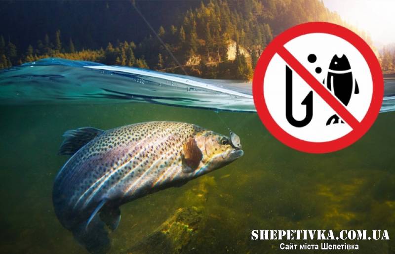 Cтартувала нерестова заборона: правила та штрафи для рибалок