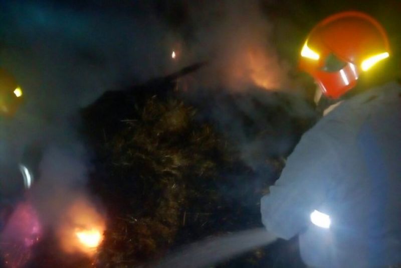 Вогонь знищив 2 тонни сіна у селі Шепетівського району