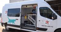 У Шепетівці анонсували чергову безкоштовну стерилізацію безпритульних собак