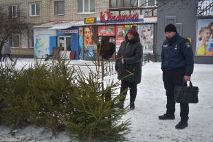 У місті проводять рейди по місцях торгівлі новорічними ялинками