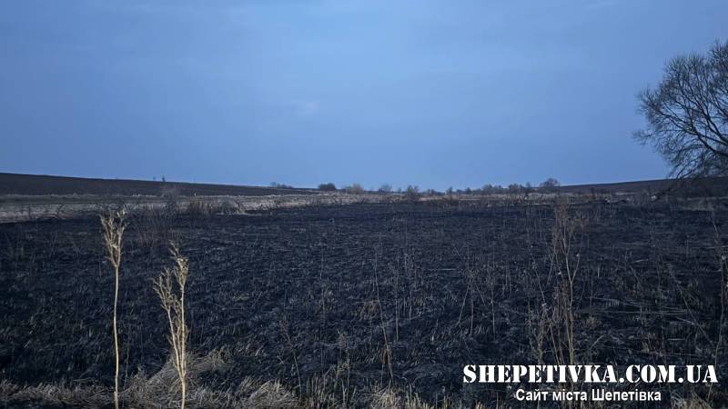 Трагедія на Шепетівщині: спалювання сухої трави призвело до загибелі людини