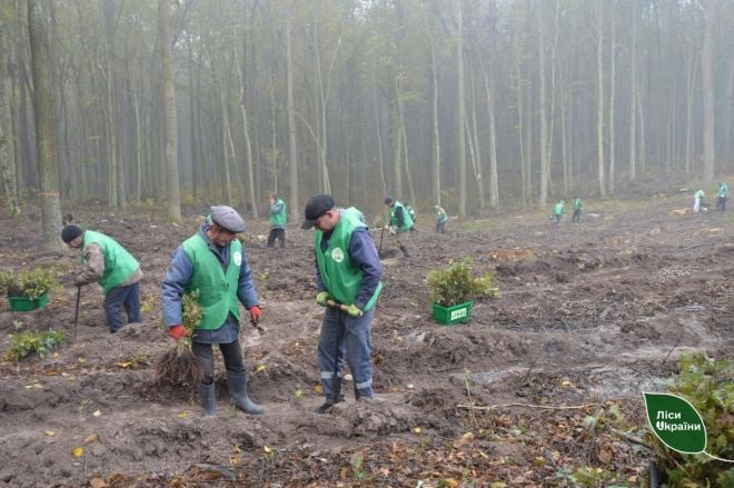 У Климентовицькому лісництві долучилися до масштабної всесвітньої акції з висадки дерев