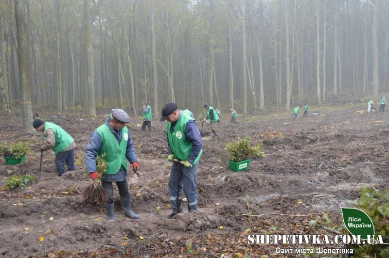 У Климентовицькому лісництві долучилися до масштабної всесвітньої акції з висадки дерев