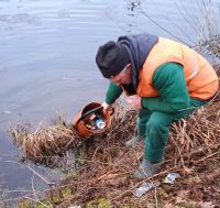 Знайшлись вкрадені сміттєві урни, які зникли у новорічні свята