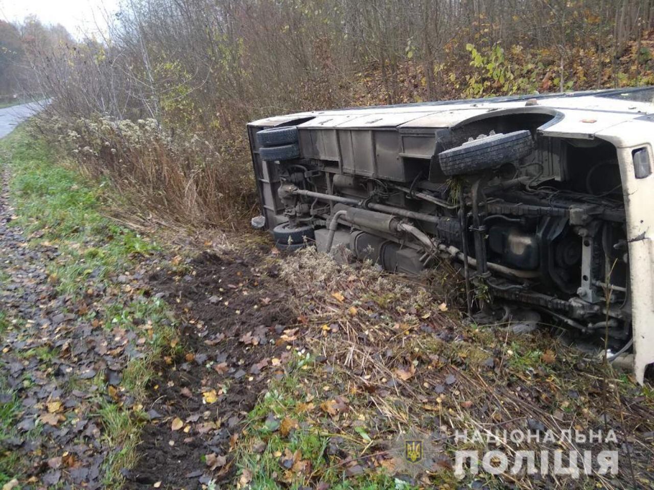Рейсовий автобус "Львів-Шепетівка" вилетів з траси, водій загинув