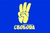 Міський голова поскаржився на ВО “Свобода”