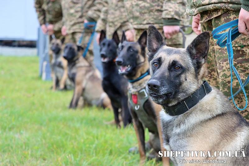 Нетішинські кінологи вдосконалювали навички разом із службовими собаками