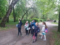 Юні шепетівчани здобули перші місця у природоохоронній акції «Грак – птах року 2019»