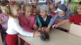 Шепетівський міський ЦЕНТУМ - перший у рейтингу «Золота когорта позашкільників»