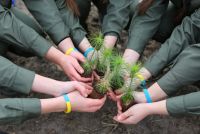 Лісівники та вихованці Пліщинського учнівського лісництва садили ліс