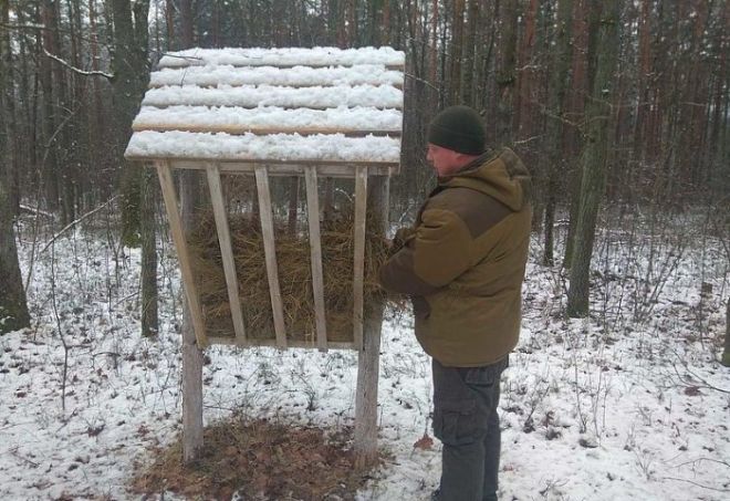 У Шепетівському лісгоспі запасли корми для підгодівлі дичини