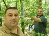 На митному посту Шепетівщини розклали феромонні пастки