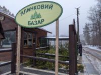 На всій Хмельниччині оголосили старт ялинкової кампанії