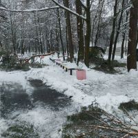Шепетівчан закликають утриматись від прогулянки парком