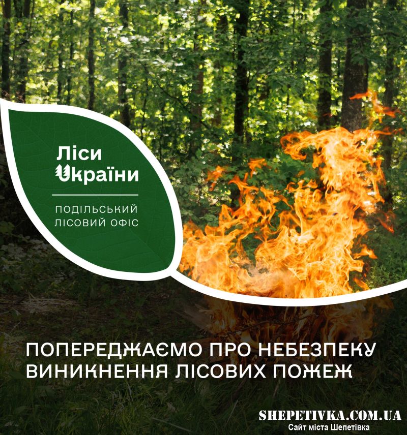 На Шепетівщині заборонено відвідування лісів через надзвичайну пожежну небезпеку